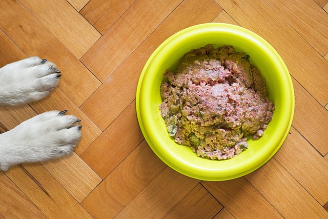 Essential Foods - Når det skal være det bedste hundefoder